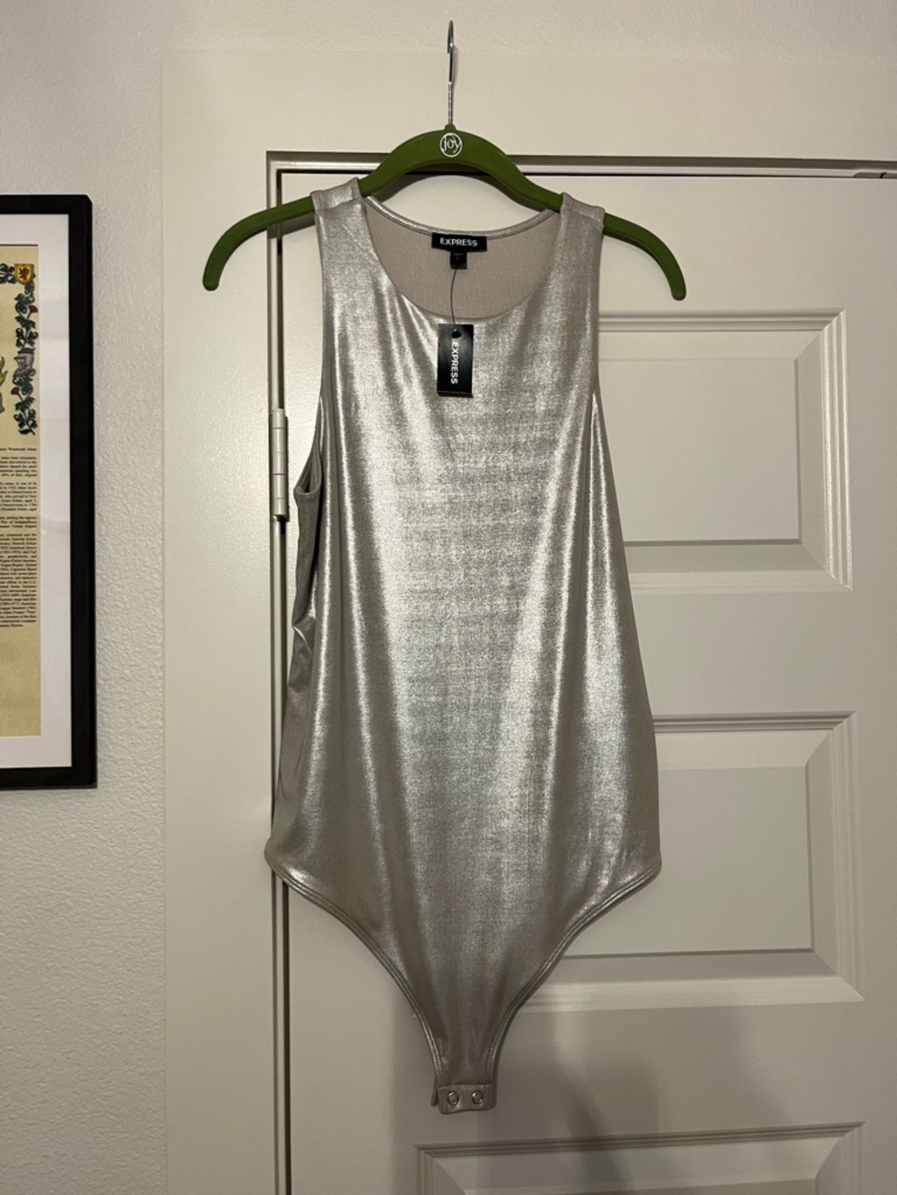 Express Metallic Silver Scoop Neck Bodysuit